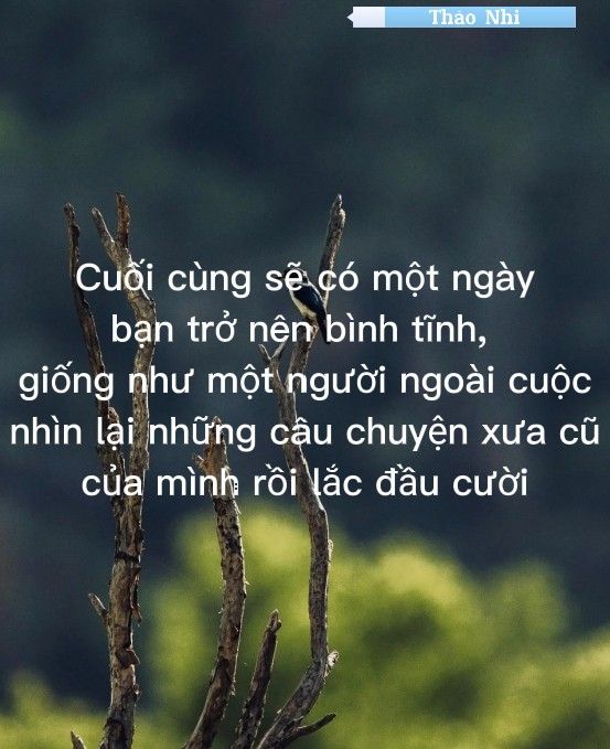 Nguyen Dan (@dnguyen3919) on Twitter photo 