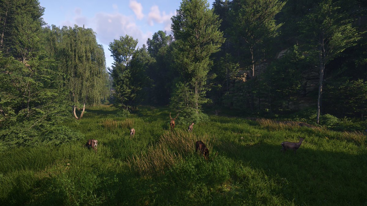 nebulamonk's tweet photo. 📸🏰Kingdom Come Deliverance 2  #KCD2  @WarhorseStudios  @KingdomComeRPG https://t.co/GeM1rljRF1