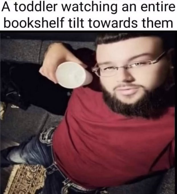 toddler bookshelf meme