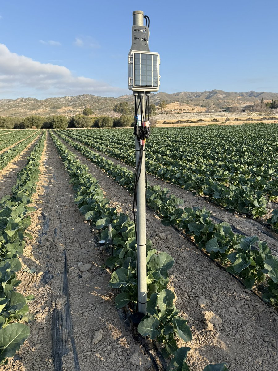 Jose Roque López tweet media