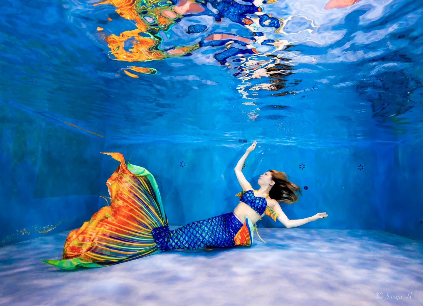 泳げるデブ🐬 on X: 