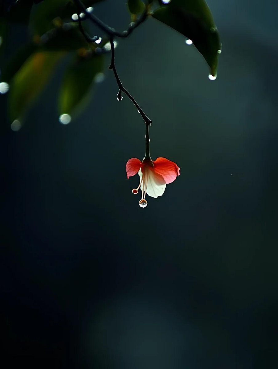 Love life tweet media