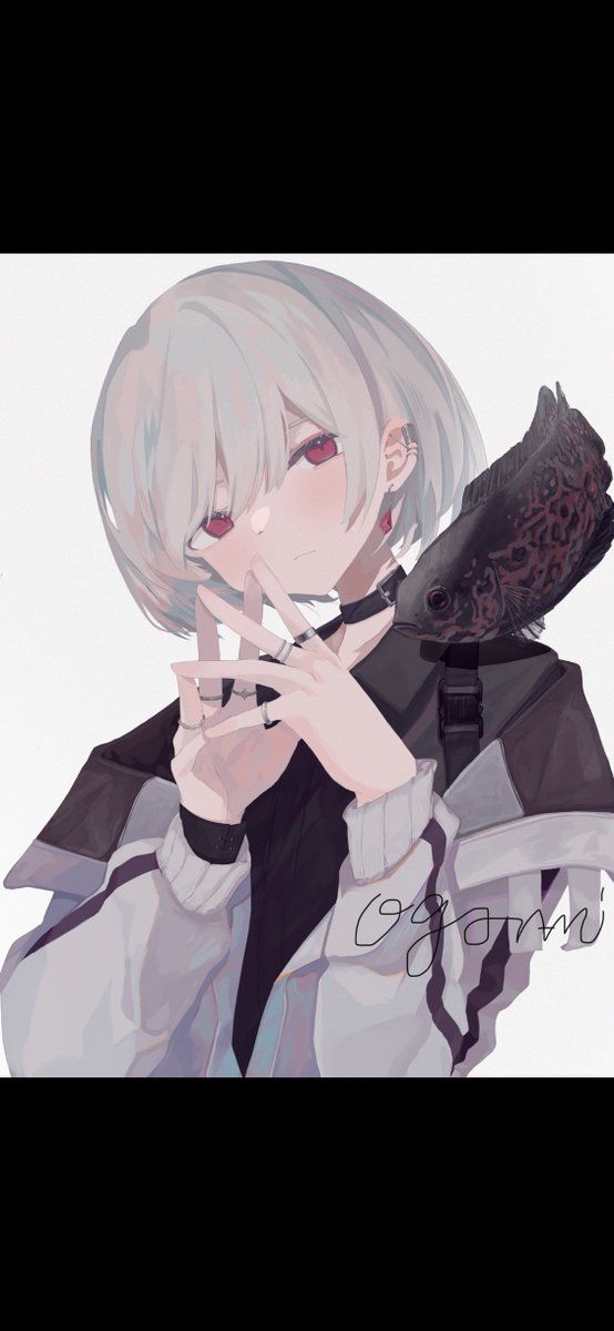 Ogami🐧 tweet media