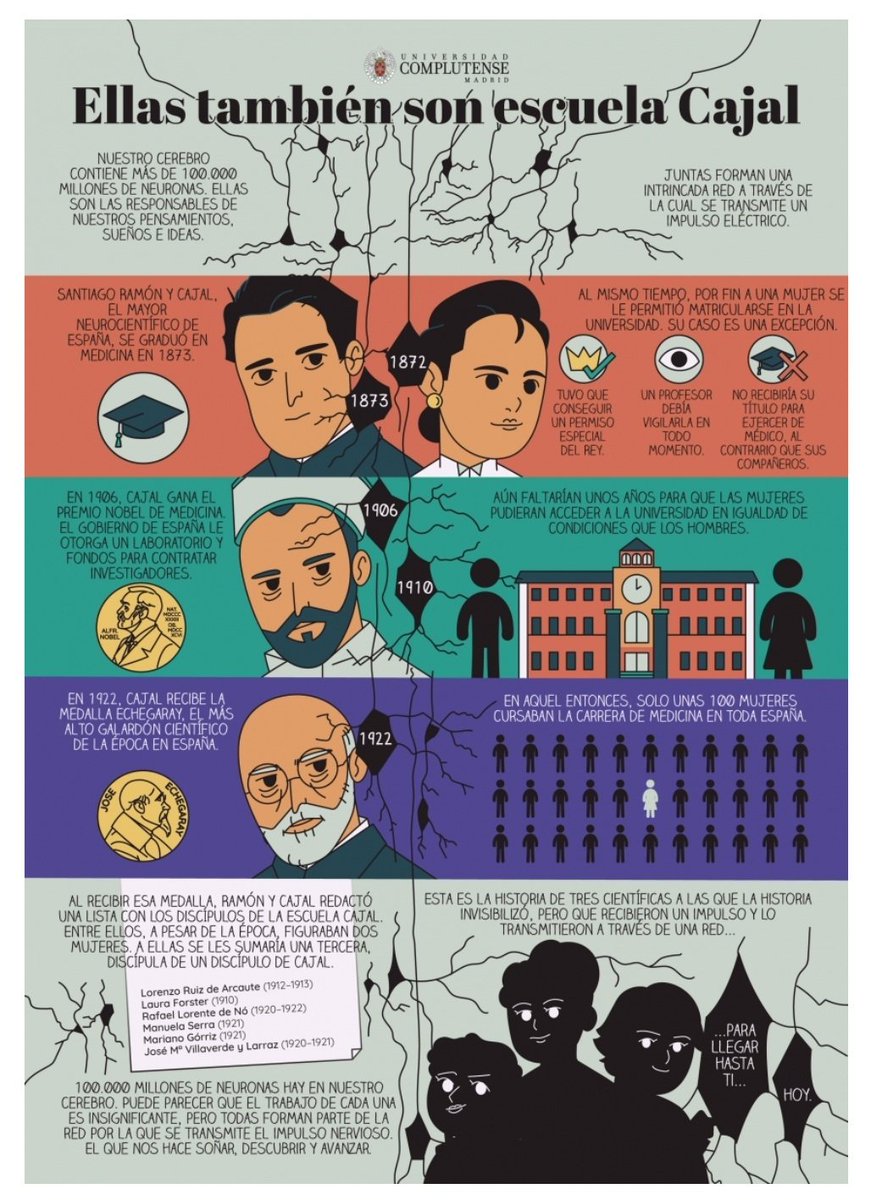¿Conoces a Laura Forster, Manuela Serra y Soledad Ruiz-Capillas?
Tres mujeres que formaron parte de la Escuela Histológica de Cajal.

Hoy sabemos mas de ellas gracias a 3 científicas de la <a href="/unicomplutense/">Complutense</a>: <a href="/gine_elena/">Elena</a>, <a href="/McSanzmiguel/">MCSanz</a> y Carmen Martínez.
👇🏻👇🏻
ucm.es/otri/comic-ell…