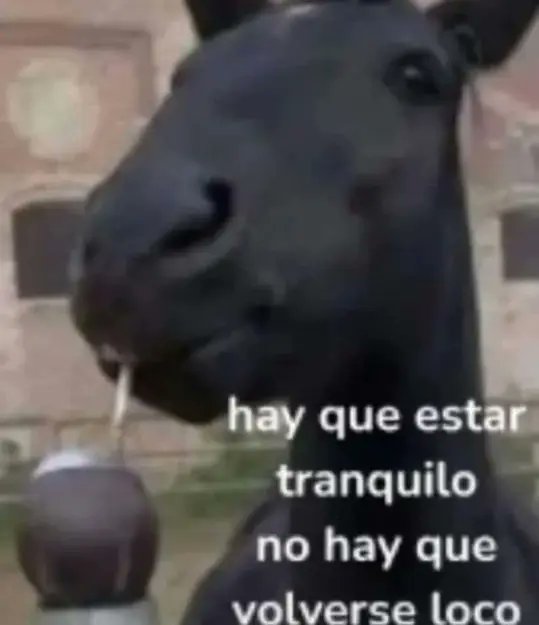 me despertó la #tormenta y soy este viendo que se me van a volar las chapas en cualquier momento