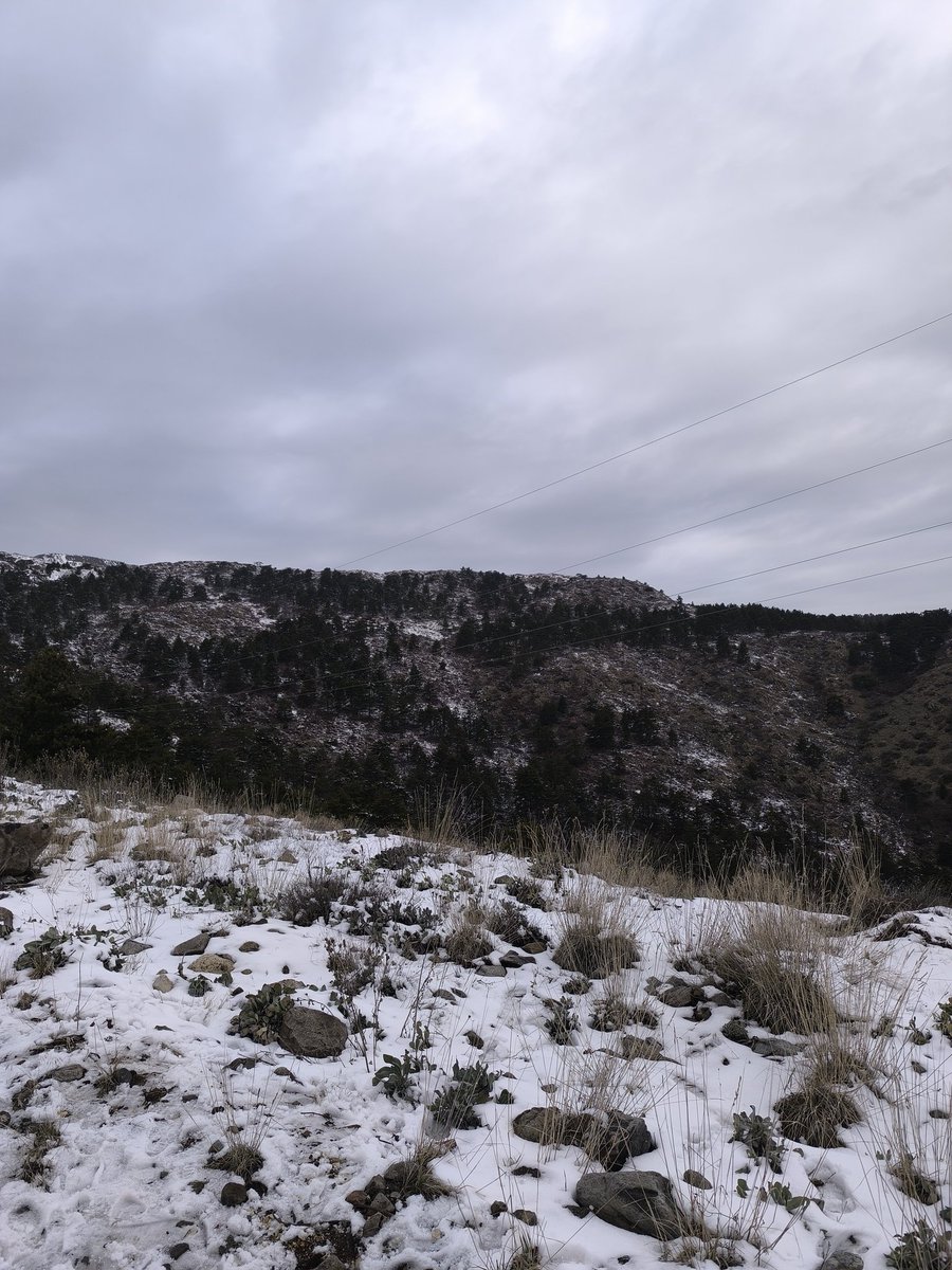 huseyiniz01's tweet image. Türkiye amanos dağları 

#amonos