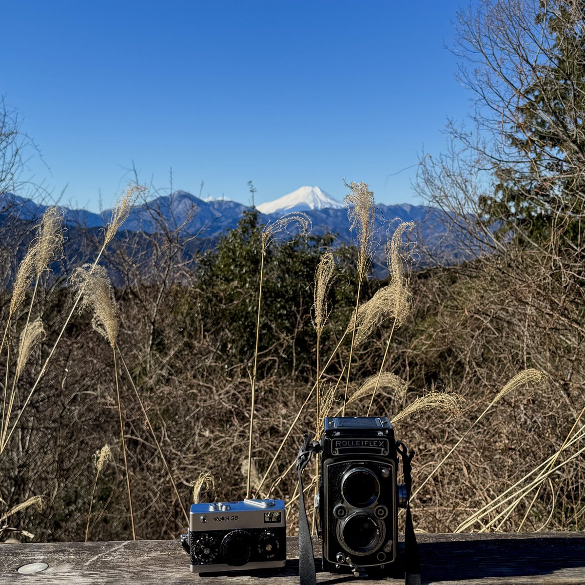 富士山 Rollei 35 Rolleiflex #mountfuji