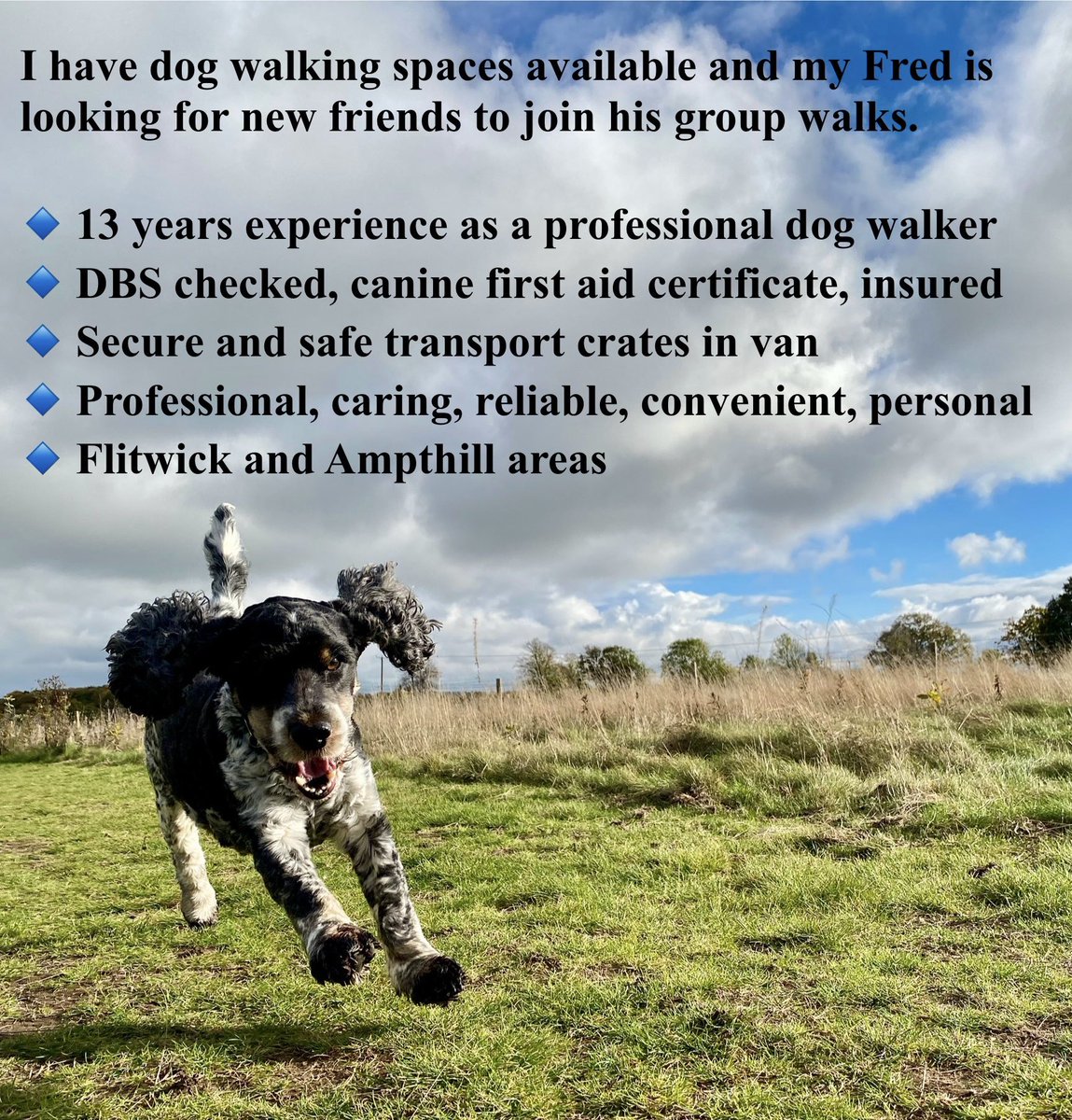 Walking-n-Wagging 🐾🐾 tweet media