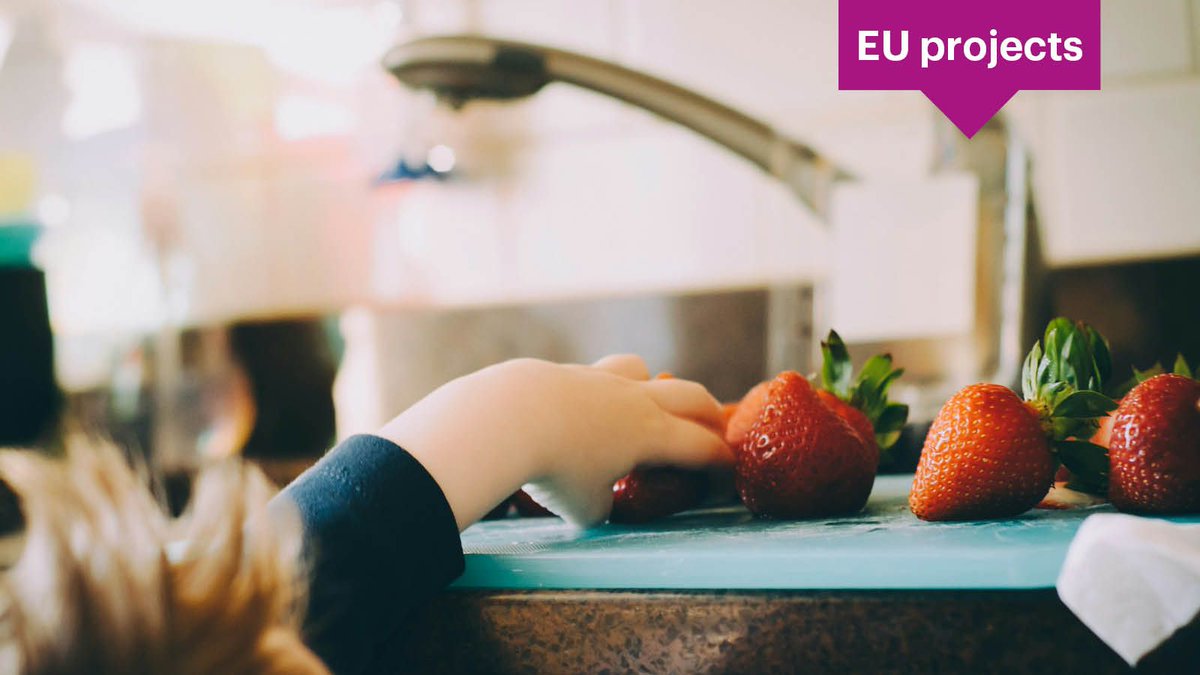 The FOOD 2030 Science Education Toolkit is here!

Developed by the CLEVERFOOD project, this resource gathers activities for educators, museums &amp; food professionals to inspire food system changes through education.

👉 buff.ly/40KqNow

#Ecsite #EcsiteEUProjects #FOOD2030