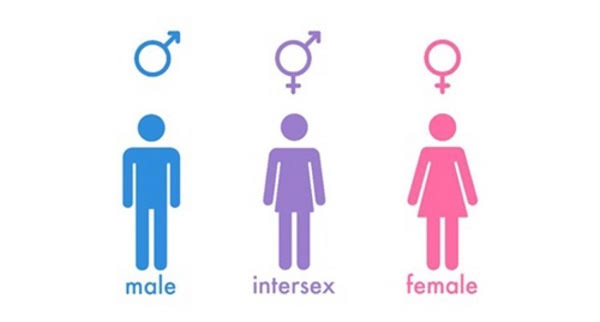 Kenya has officially recognized intersex as a third gender by including it alongside male and female in birth certificates. The 2019 census recorded 1,524 intersex in Kenya.