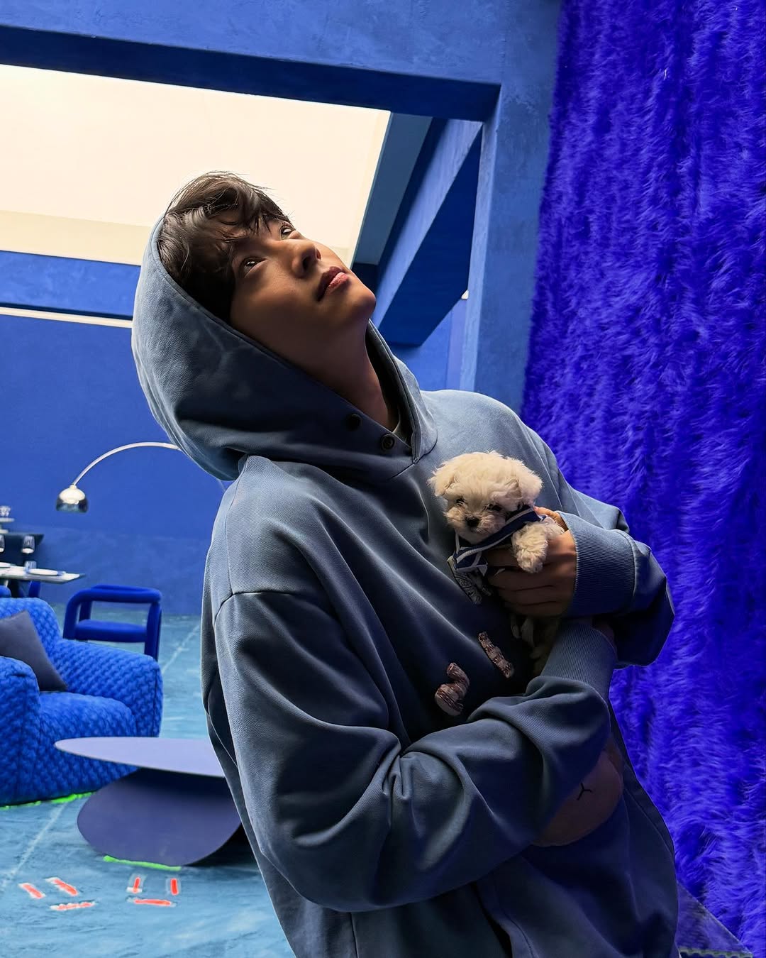 Gjfrvadb0AA62Wh?format=jpg&name=large