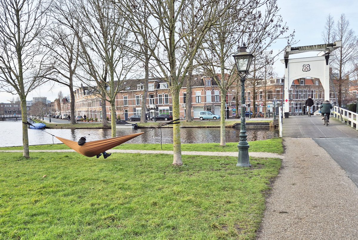 NandaSluijsmans's tweet image. Dames en heren, dit is #Leiden.❤️ Genieten van de #winterzon in de #hangmat. Gratis geluk.❄️☀️ 🥰

#Stadsleven🤩