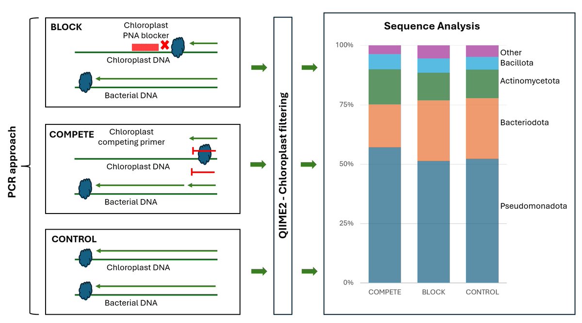 Achim Schmalenberger tweet media