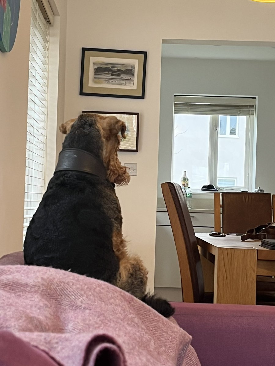 Sophie Hannah tweet media