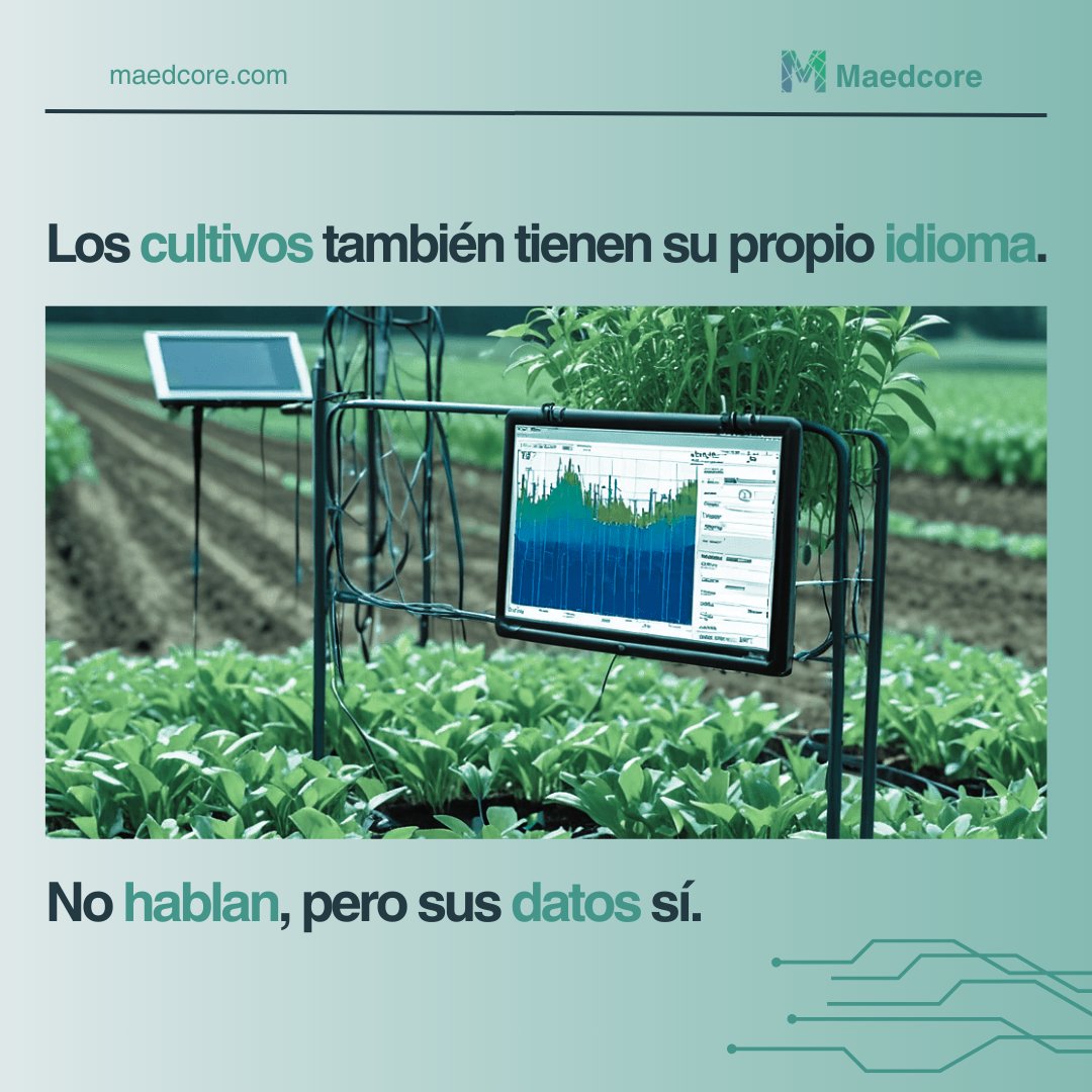 Maedcore tweet media