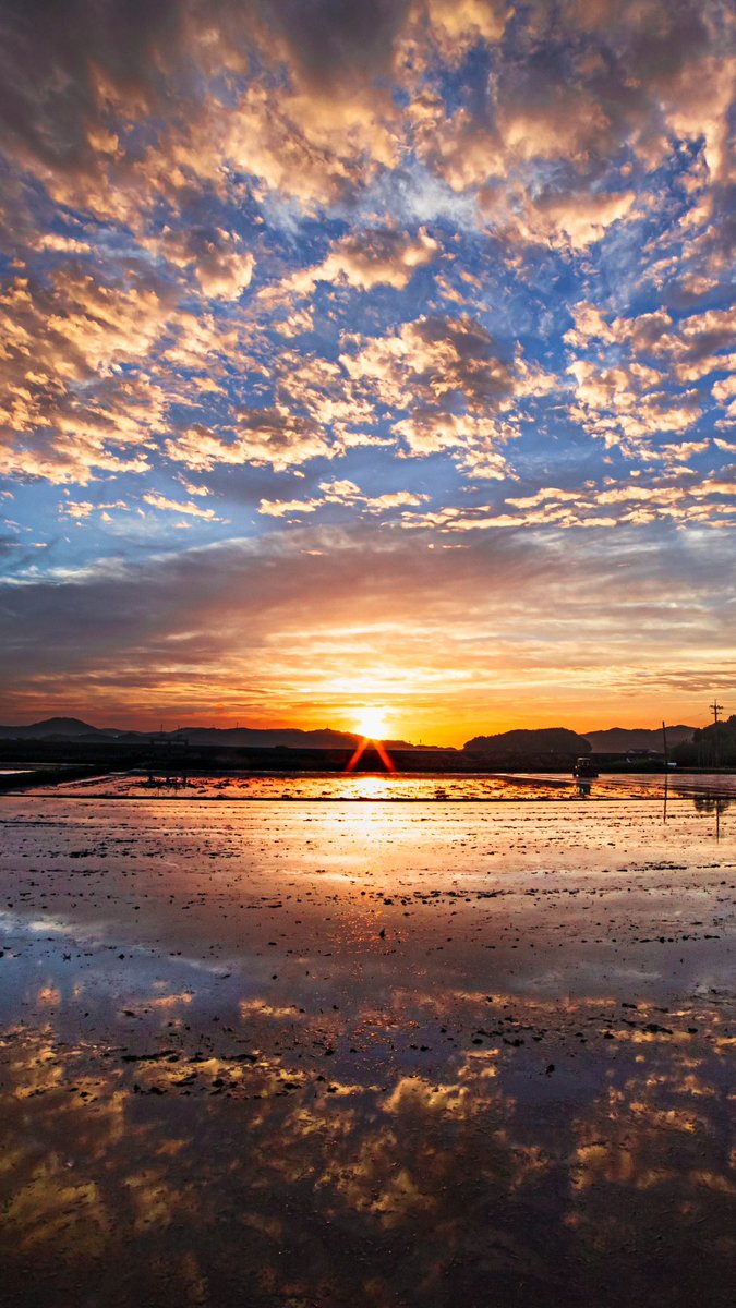 zaki_3_0257's tweet image. タップすると空が広がります