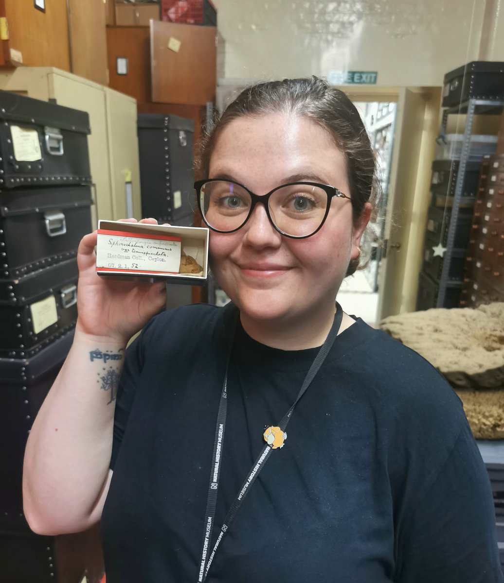 Happy #InternationalDayofWomenandGirlsinScience!
Here's me posing with a Herdman collection specimen from 1907 (my favourite thing to do), I know Sir Herdman would have appreciated us sharing a name and working with marine invertebrates, just 100+ years later!😁🧽