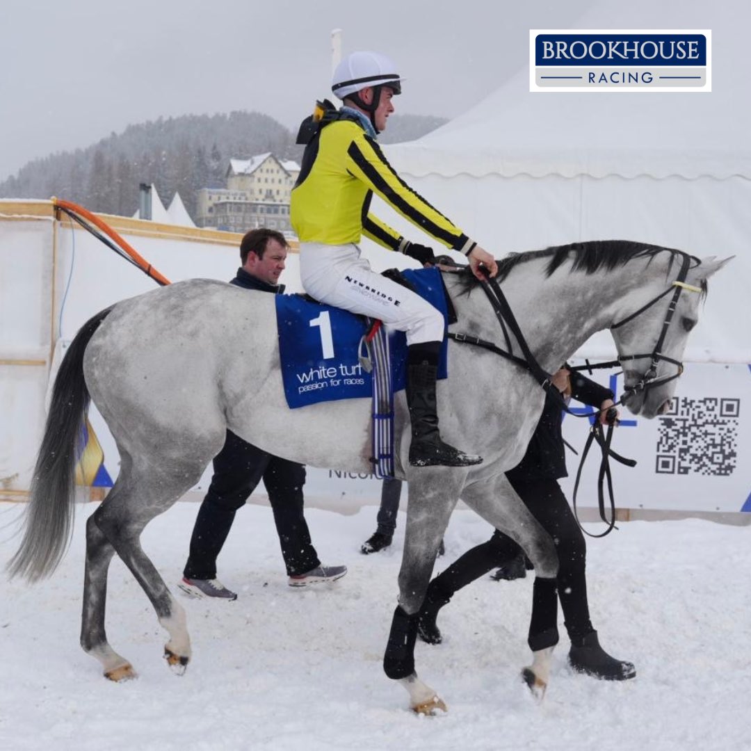 BrookhouseRacin's tweet photo. The Ice Warrior ❄️🏇
#GordonGrey https://t.co/jIc2kbBN7k