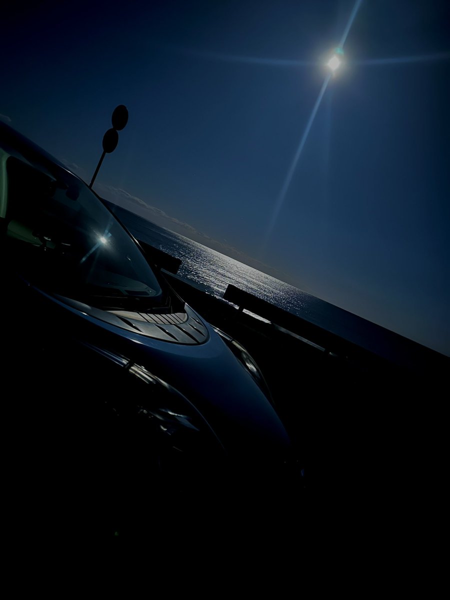 せいうち Respawn❗️ tweet media