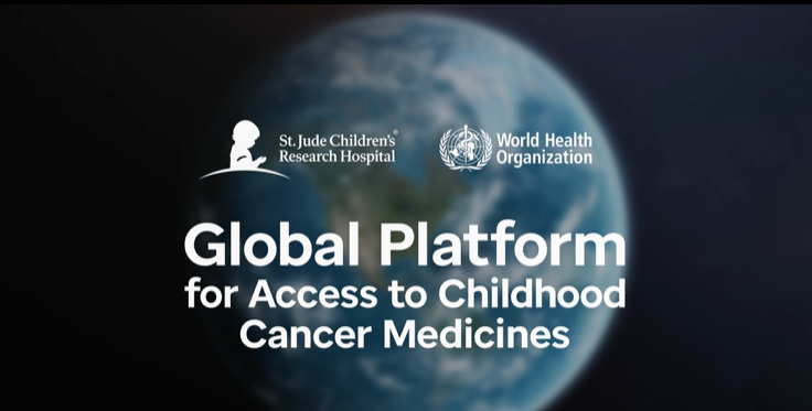 Giuseppe Troisi tweet media