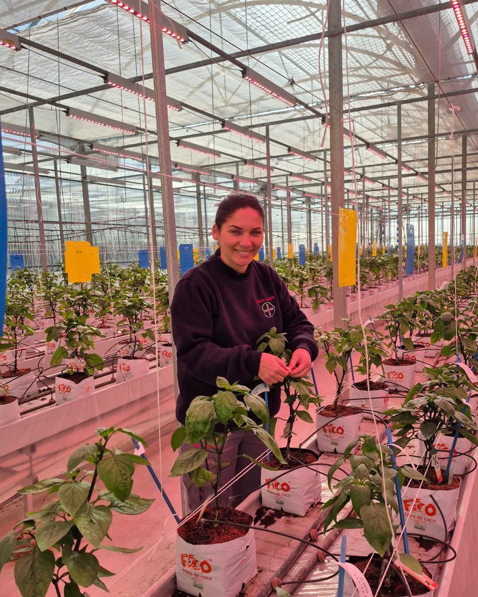 Bayer Crop Science España tweet media