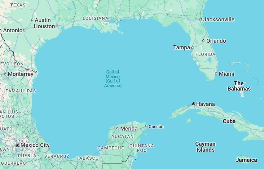 Sam Shedden tweet media