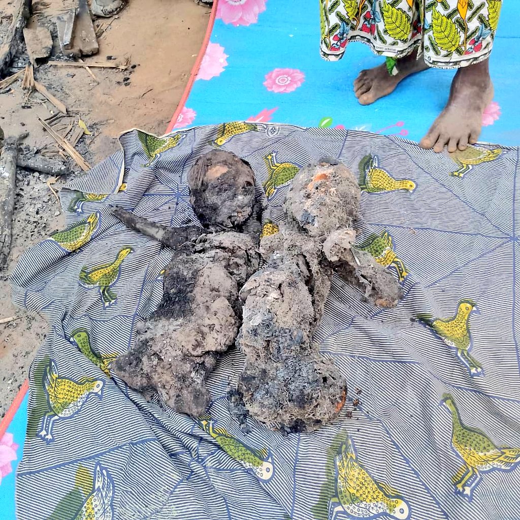 MaishaRdc's tweet photo. #ITURI_RDC_ONU:

Le bilan provisoire fait état de 82 déplacés, membres de la communauté Hema, massacrés, et d'autres calcinés par les membres de la milice CODECO (ayant intégré les wazalendo, Supplétifs des FARDC) dans le territoire de Djugu, collectivité de BAHEMA BADJERE.

Même des bébés et leurs mamans étaient tués, déchiquetés et puis calcinés dans leurs abris dans le site.

Il s'agit du site des déplacés de DJAIBA qui était attaqué la nuit du 10 au 11 février 2025 par un groupe des miliciens de la CODECO.

Cette milice la plus meurtrière en ITURI, a été intégrée dans la RAD, RÉSERVE ARMÉE DE DÉFENSE, et son PP @BasaZukpa,  avait été invité à KINSHASA avec d'autres cadres des Wazalendo des provinces du sud Kivu et Nord-kivu pour faire une coalition des WAZALENDO ( https://t.co/zlkOMppBhX), (https://t.co/SSHOVofD7X).

Aujourd'hui la milice opère avec les armes et munitions reçues aussi par le gouvernement congolais en attaquant systématiquement les membres de la communauté Hema en RDC, qui sont qualifiés par ces deniers de l'empire Hima-tutsi, des Rwandais, en raison de leur rapprochement culturel avec les communautés ethniques Tutsies.(https://t.co/zlkOMppBhX)

@HuangXia16 @eucopresident