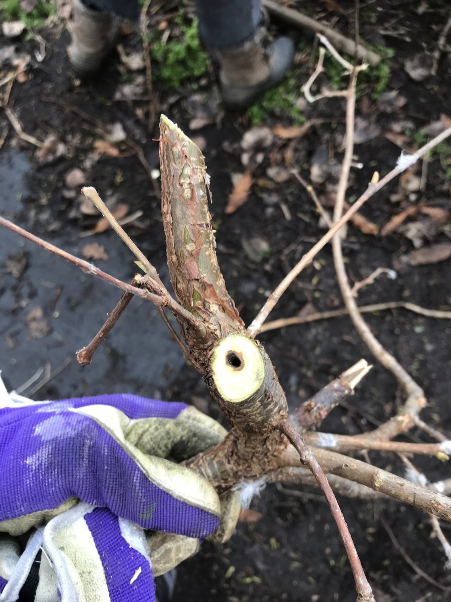 russell miller tweet media