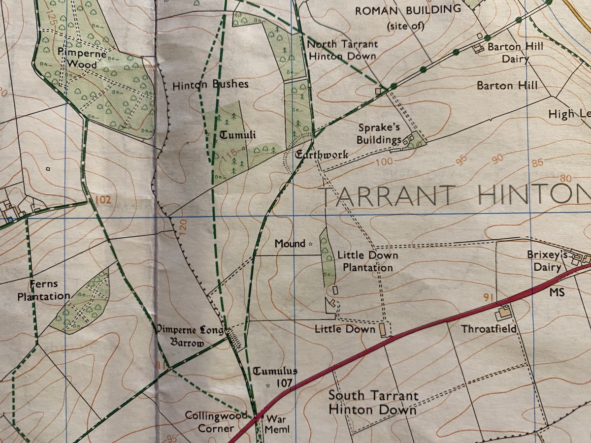 Pimperne Long Barrow near Blandford for #TombTuesday. The longest in Dorset and possibly in England. Barrow measures 100m along its axis and 27m at its broadest point. Thought to date from between 3500-4000BC. #longbarrows #neolithic #ancientbritain #dorset