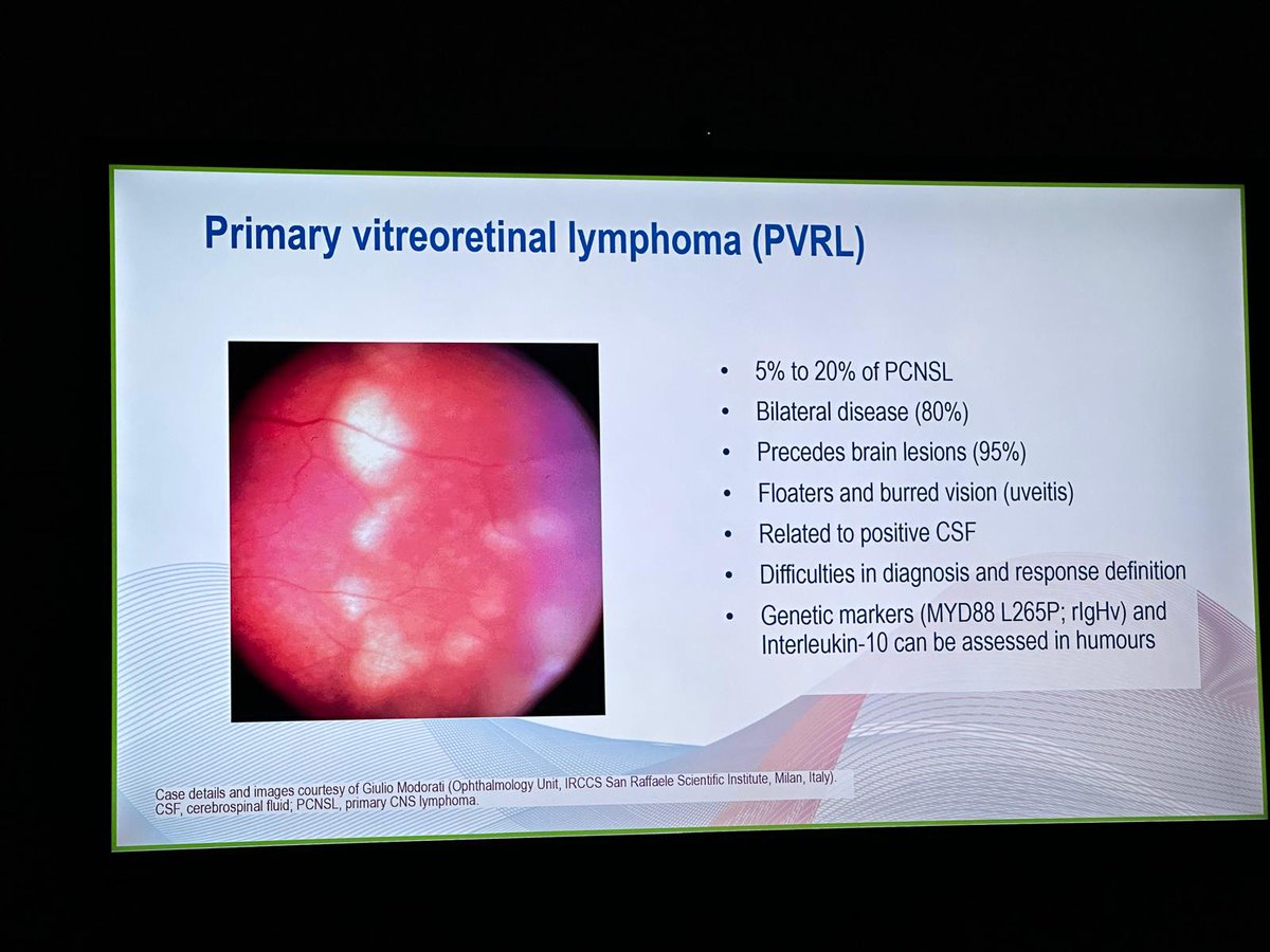 Hematología SantPau (@hematosantpau) on Twitter photo Continuamos con invitados increíbles en las sesiones científicas de <a href="/hematosantpau/">Hematología SantPau</a>. Previamente el Dr. Zeiser ahondando en la biología del ICANS post_CART. Ayer el Dr. Ferreri actualizando las novedades de manejo del linfoma cerebral primario. Seguimos!! <a href="/UCISantPau/">UCISantPau</a> <a href="/NMDSantPau/">NeuromuscularBCN - Sant Pau</a> Continuamos con invitados increíbles en las sesiones científicas de <a href="/hematosantpau/">Hematología SantPau</a>. Previamente el Dr. Zeiser ahondando en la biología del ICANS post_CART. Ayer el Dr. Ferreri actualizando las novedades de manejo del linfoma cerebral primario. Seguimos!! <a href="/UCISantPau/">UCISantPau</a> <a href="/NMDSantPau/">NeuromuscularBCN - Sant Pau</a>