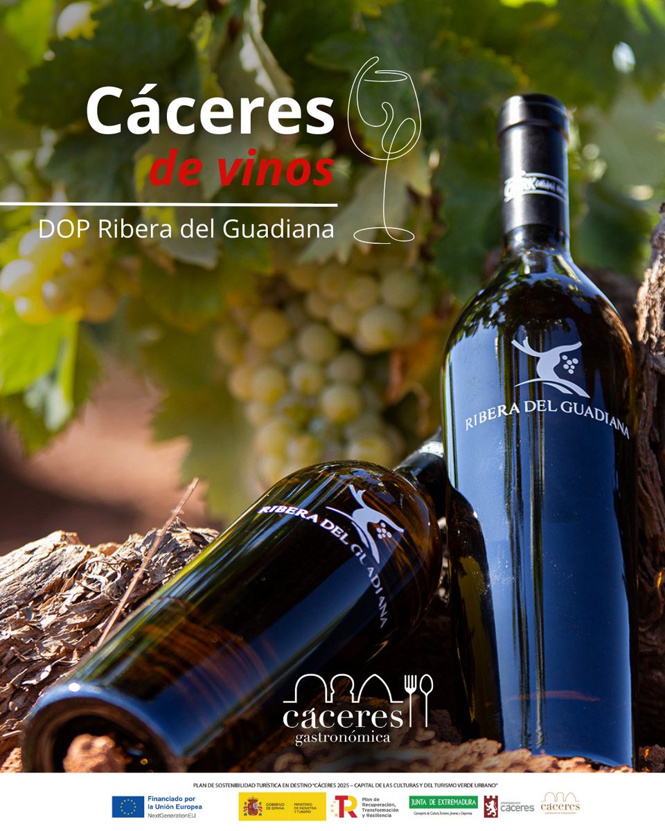 Un Ribera del Guadiana y buena compañía, ¿qué más se puede pedir? 🍇✨

👉 Menciona a esa persona con la que compartirías un vino en tu visita a Cáceres.

📲caceres.pulse.ly/isyioa0wae