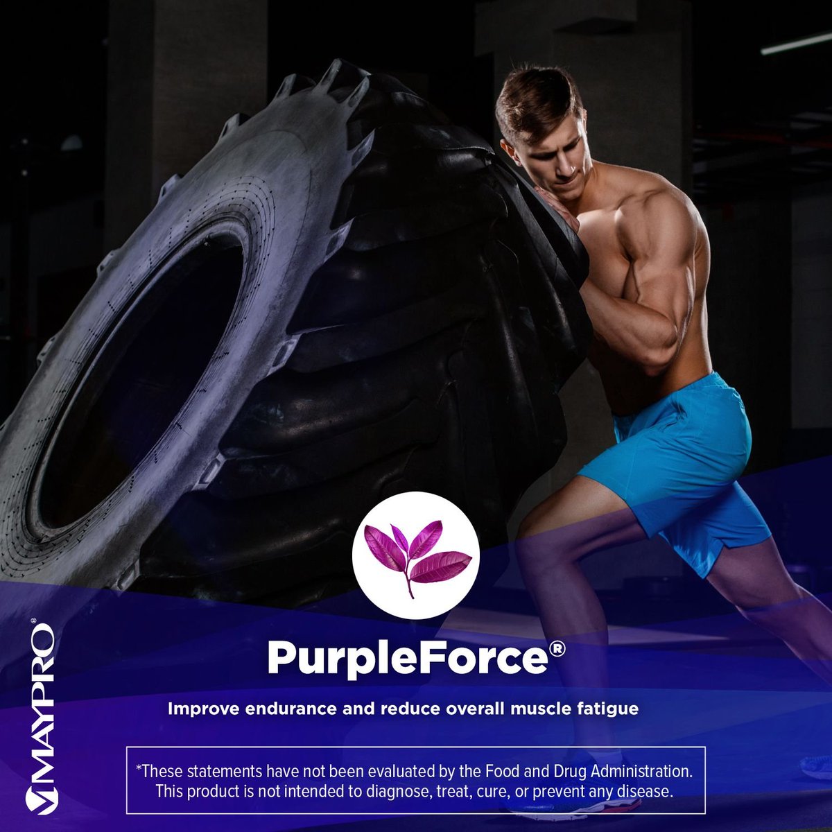 MayproGroup's tweet image. A growing favorite among brands catering to serious athletes, PurpleForce works to activate AMPK, an enzyme involved in the homeostasis of the energy cell, promoting energy levels and glucose absorption in the skeletal muscle

Watch the YouTube video here: youtu.be/DYtY192rBZQ