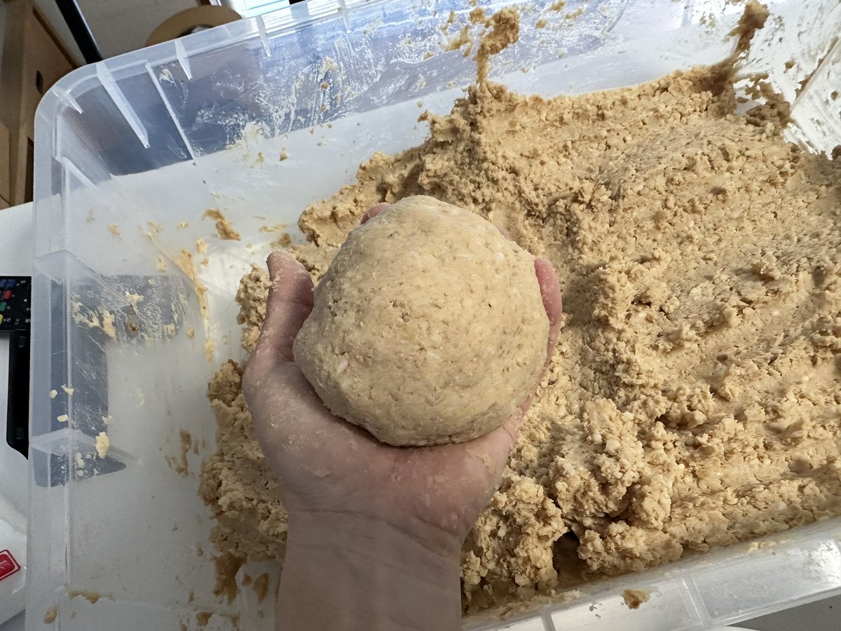 今日は1日かけて味噌作りー。
なんやかんやで12年目、毎年欠かさず継続して作ってるのすごいな。
これで来年も1年美味しい味噌が食べれるはず‼️