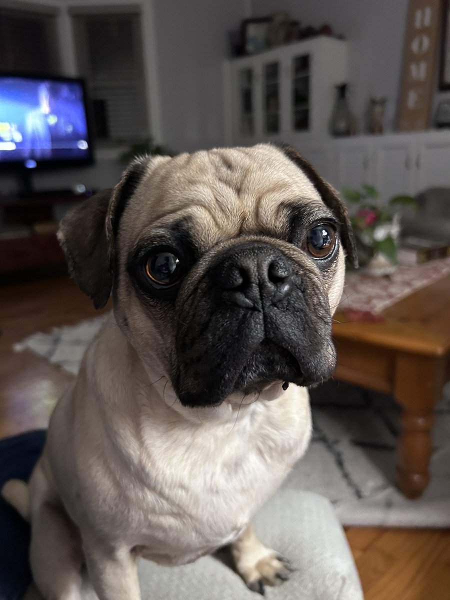 Good Morning Friends!!! Have a great day!!