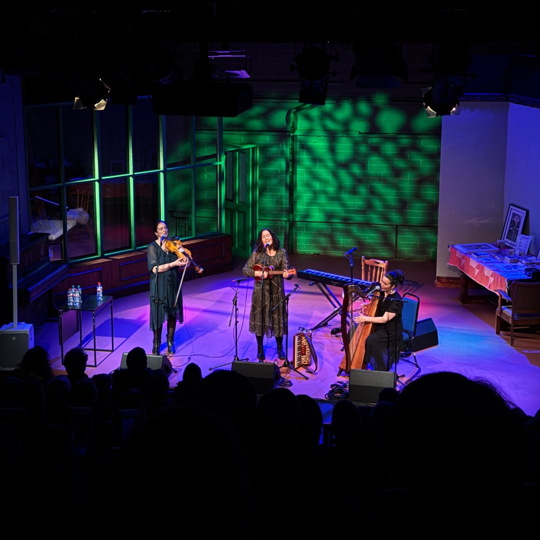 Can we have another TradFest at the end of Feb? 🥺

To get us through the TradFest blues, we've got some fantastic shots from our 2025 events across Dublin City, Fingal &amp; South Dublin 💚

#tradfest #tradfestdublin #tradmusic #folkmusic #dublin #ireland

<a href="/sdublincoco/">SDCC</a> | <a href="/Fingalcoco/">Fingal County Council</a>