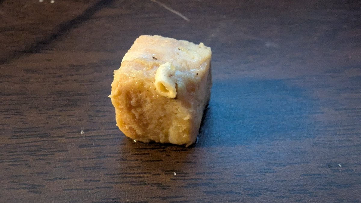 TheMadMadigan's tweet photo. So this meat cube grew a tube of some kind. #interesting #meatcube https://t.co/cX8LweHddz