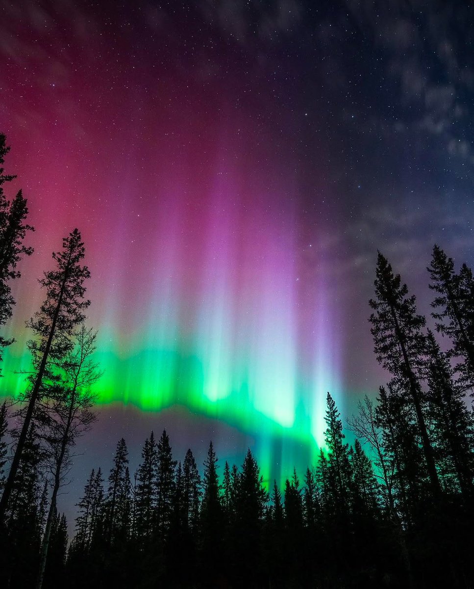 earthcurated's tweet photo. Aurora skies over the Canadian Rockies ✨ https://t.co/CWpc9l0WVP
