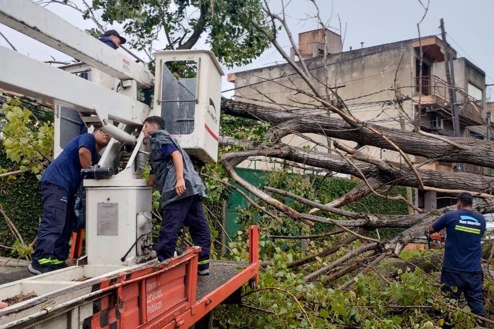 fmoreiraok's tweet photo. Nuestros equipos de Defensa Civil, Obras y Servicios Públicos, Desarrollo Social, Protección Ciudadana y Tránsito están trabajando en las zonas afectadas por las fuertes lluvias y tormentas con ráfagas de más de 75 km/h.

Desde el inicio del temporal, registramos 66 casos de postes, ramas y árboles caídos, anegamientos y cables en la vía pública, entre otros casos que estamos atendiendo para asistir a las vecinas y vecinos.

El alerta continúa durante la tarde, ante emergencias, comunicate con Defensa Civil llamando al 103.