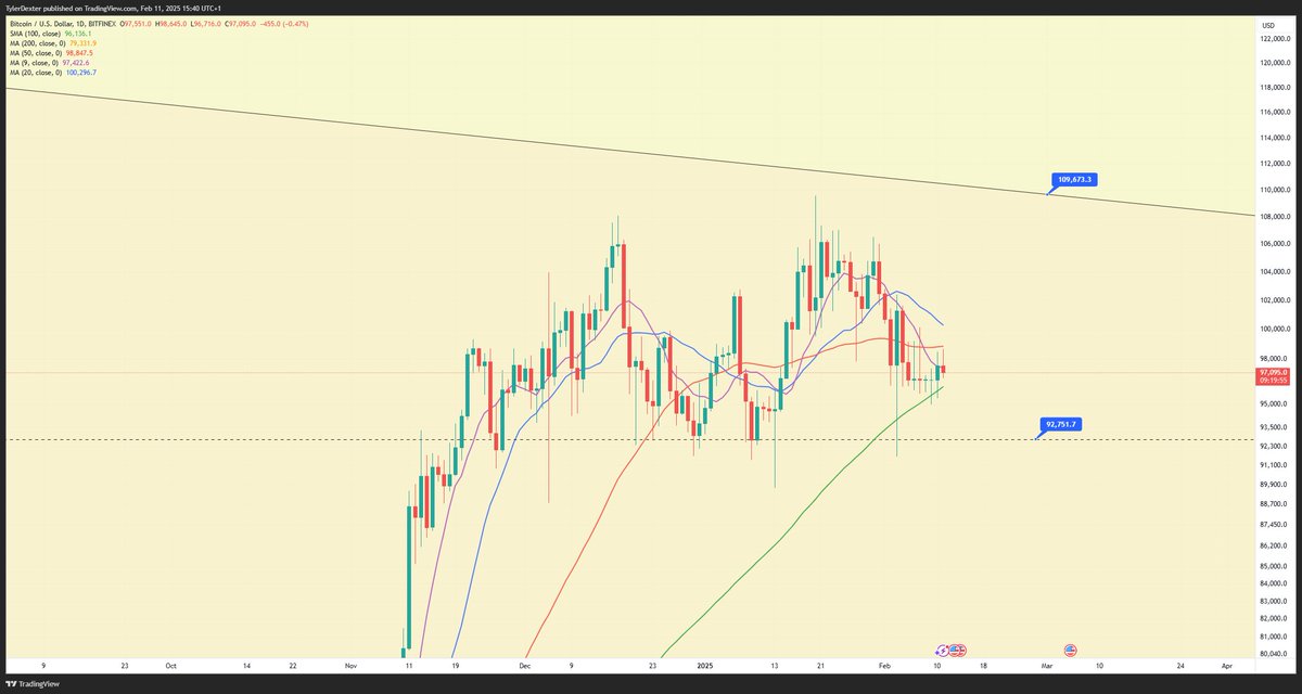 TylerDexter tweet media