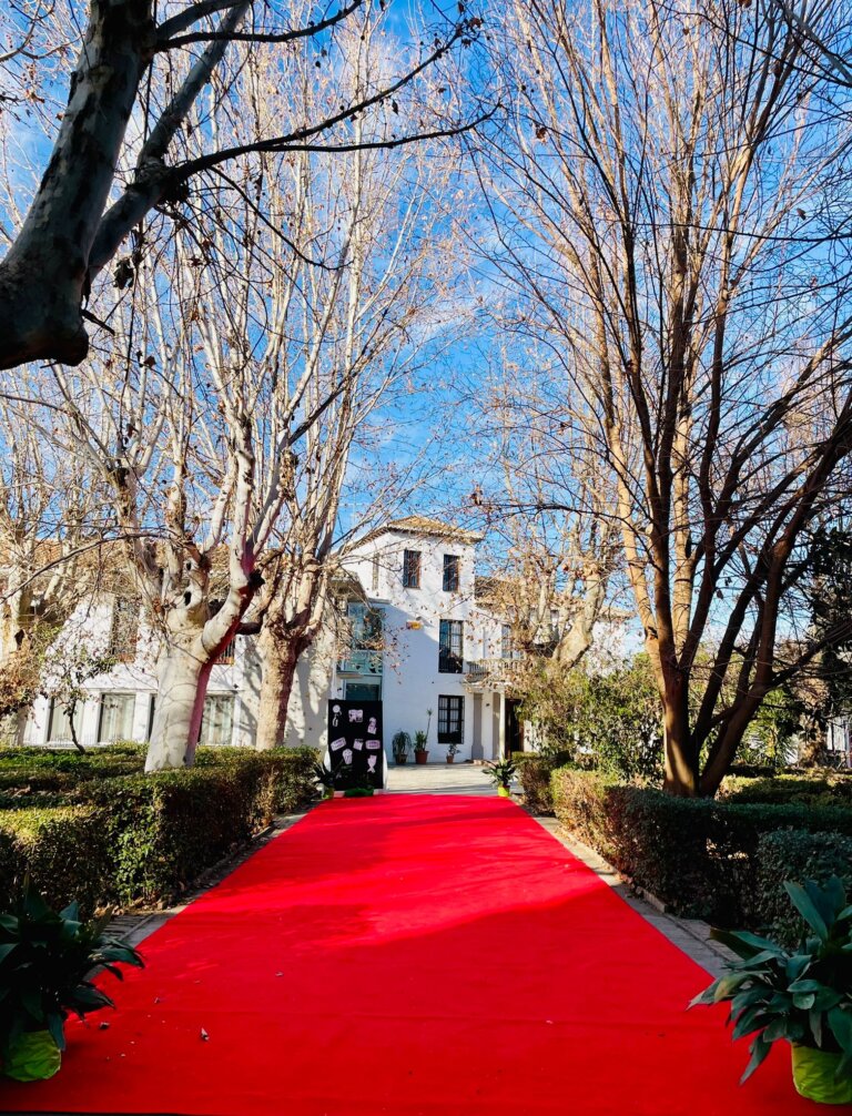 AlqueriaEduca's tweet photo. Espectacular despliegue del equipo Alquería para ofrecer a nuestro alumnado de primaria la mejor y más estimulante "semana cultural" dedicada al cine.  Nos esperan días repletos de propuestas relacionadas con el séptimo arte, y con la colaboración familiar como valor añadido. https://t.co/1HR9cUSVNw