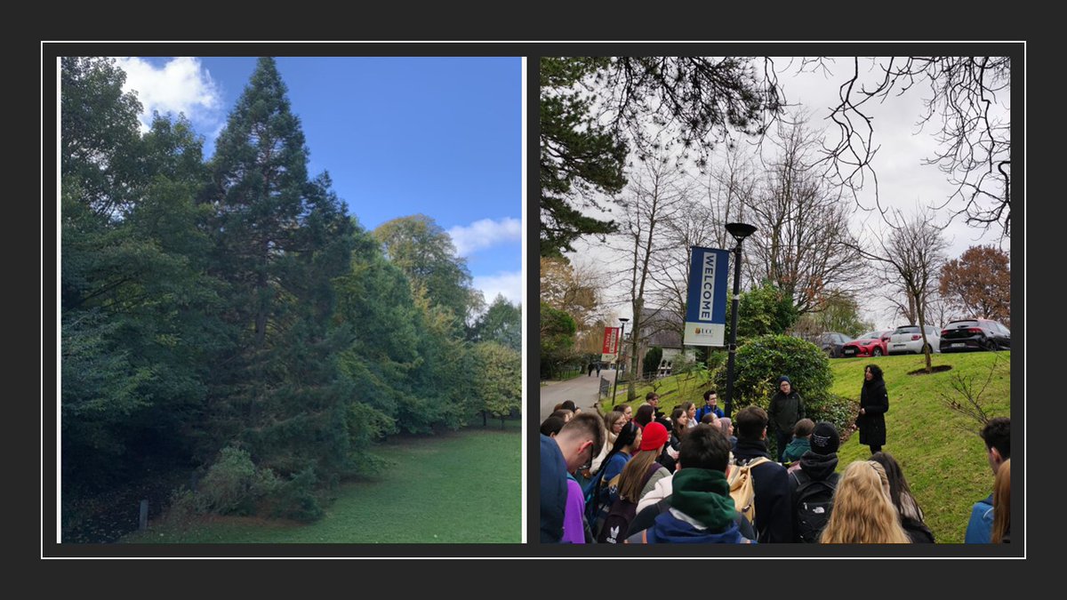 Yesterday, we continued the tradition of outdoor teaching when we introduced 70 third year Pharmacy students to the collection in the now internationally accredited arboretum (lnkd.in/eV7Kzpaj).
For more see here: linkedin.com/posts/dr-barba…