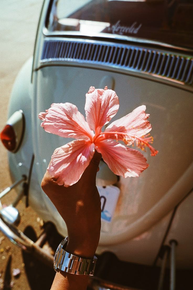 GueronDebi's tweet image. Colors speak louder than words. 🎨✨ Whether it’s the calming blues, energizing yellows, or grounding greens, color has the power to transform your mood and mindset.
#ColorTherapy #MoodBooster #PowerOfColor