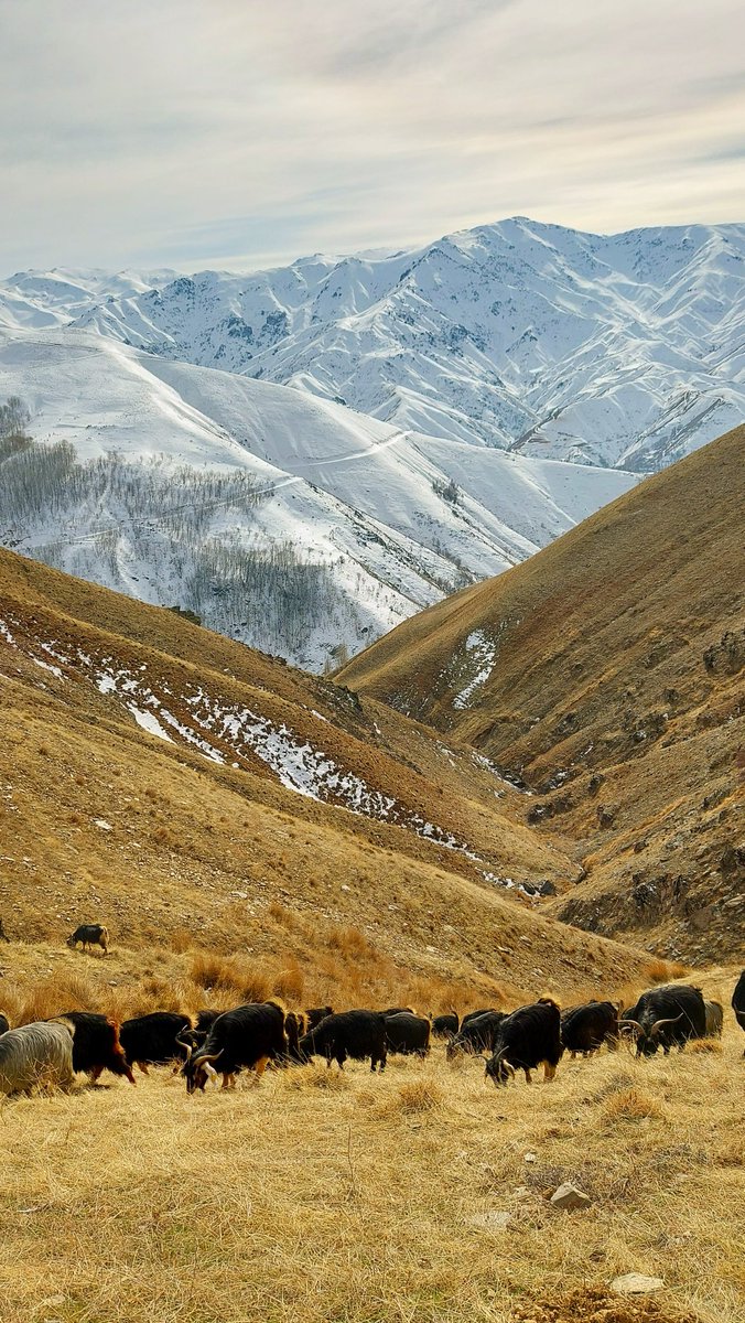 Dağın tepesine hangi yoldan çıkarsan çık, manzara aynıdır. Çin Özdeyişi
#photo #photograghy #photooftheday #landscapephotography