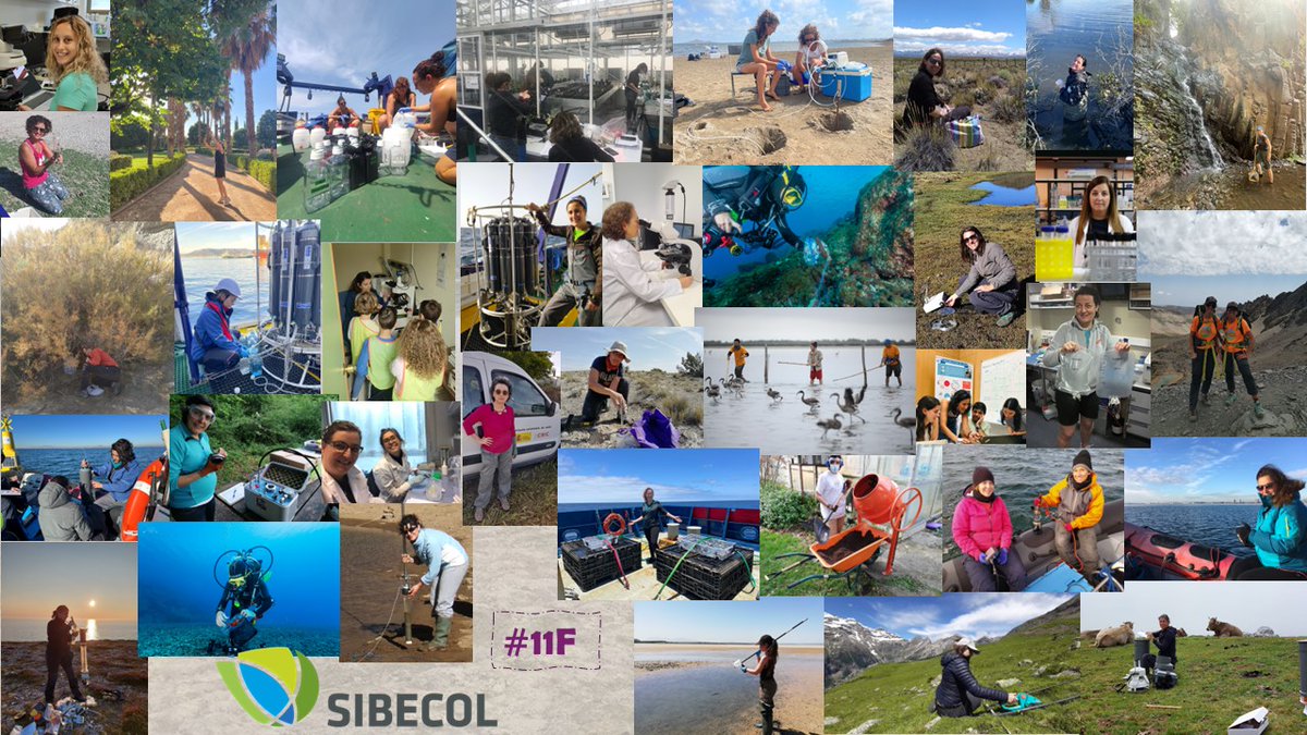 In seas, mountains, rivers, soils, lakes, and forests, the members of SIBECOL continue working tirelessly to understand and protect our ecosystems.🏞️🌅🌄 Let’s recognize and support the work of women ecologists today and every day! 🌿💚  #WomenInScience #11F