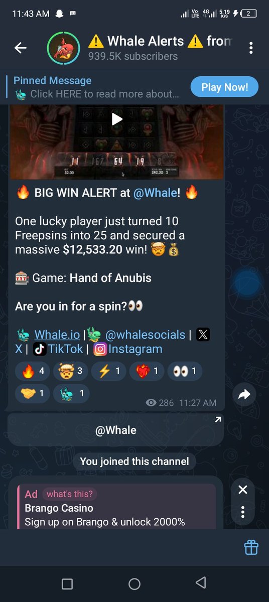 I've just joined the Whale Community on Telegram! Earn rewards from Whale and more Jambo partners at play.google.com/store/apps/det… <a href="/whalegames_en/">Whale</a> <a href="/jambotechnology/">Jambo</a> #sometimeslosealwayswin