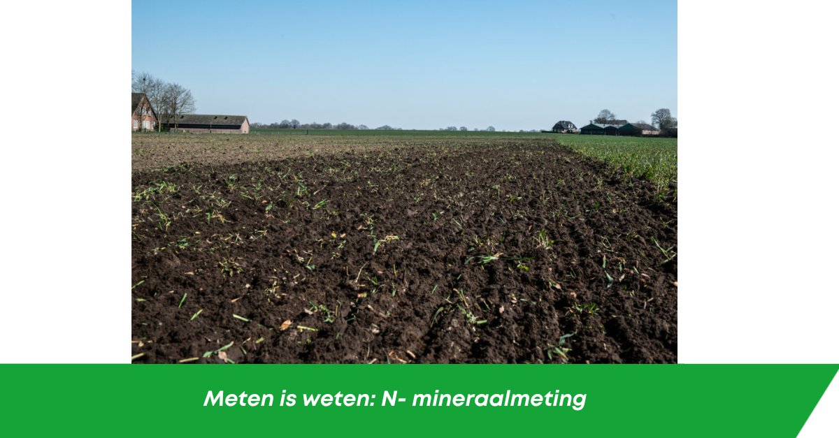 In de praktijk blijkt dat N-mineraalmetingen boeren daadwerkelijk helpen om zuiniger en gerichter te bemesten. Door de stikstof voor de teelt te meten, krijg je een beter inzicht in hoeveel stikstof er nog beschikbaar is en waneneer bijsturing nodig is. 

agrarischwaterbeheer.nl/nieuws/meten-i…