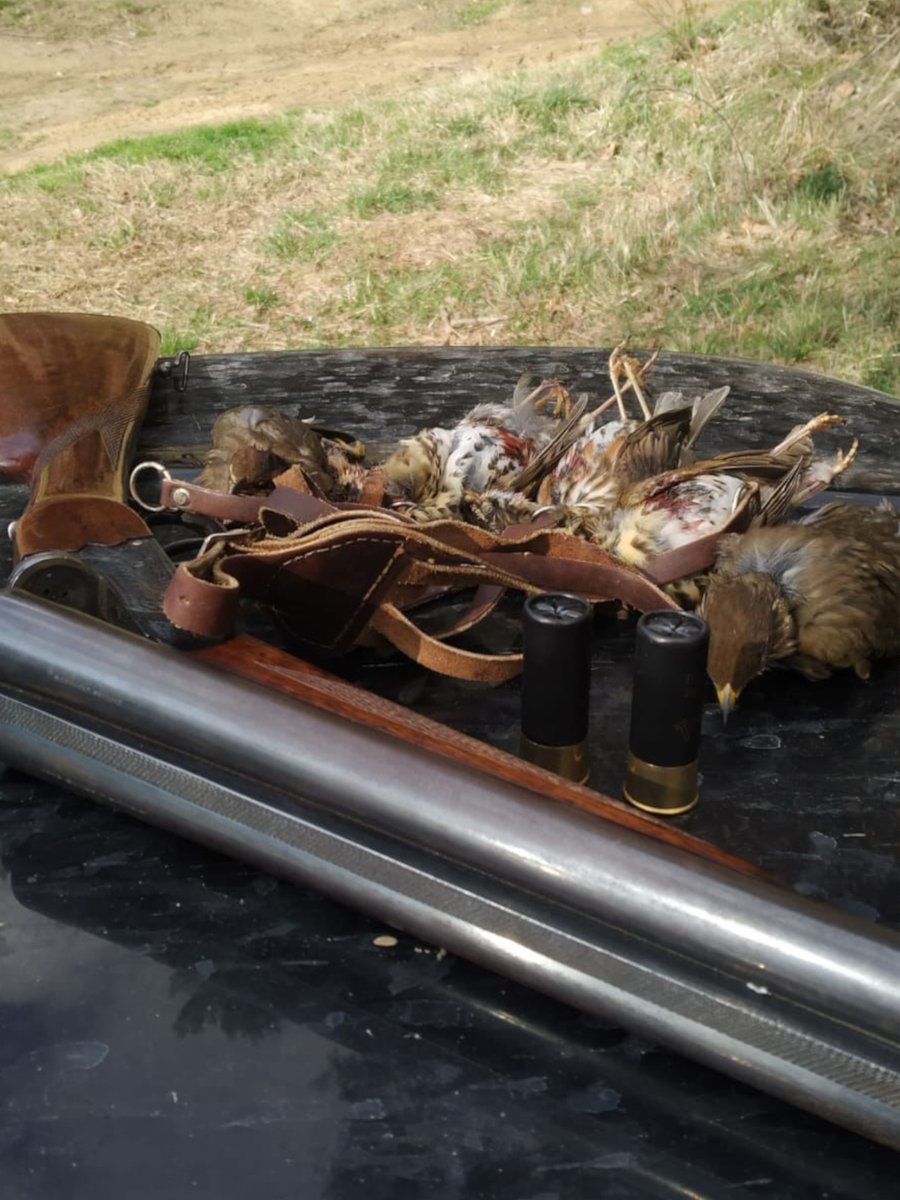 Federació Catalana de Caça tweet media