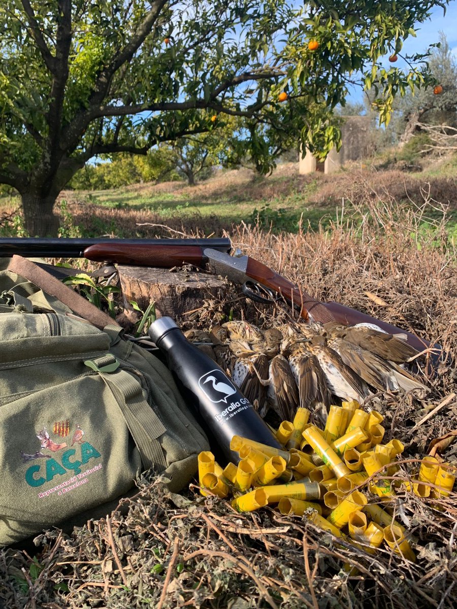 Federació Catalana de Caça tweet media