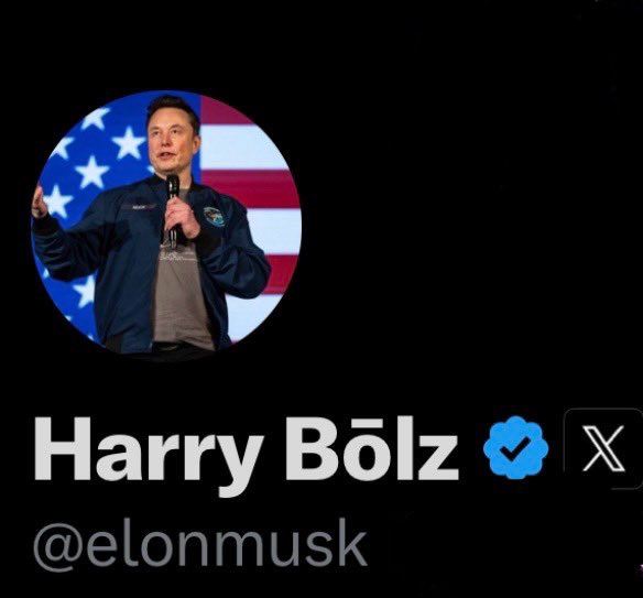 DogeDesigner tweet media