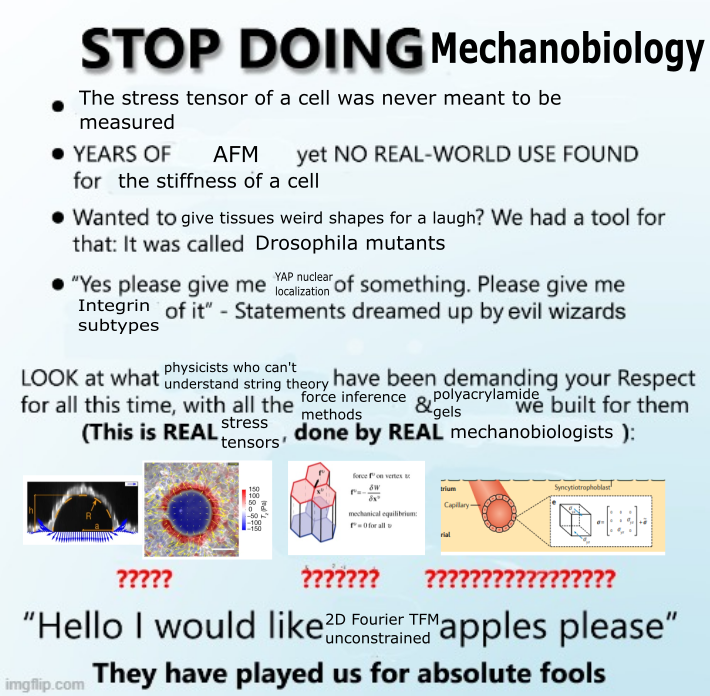Stop doing mechanobiology